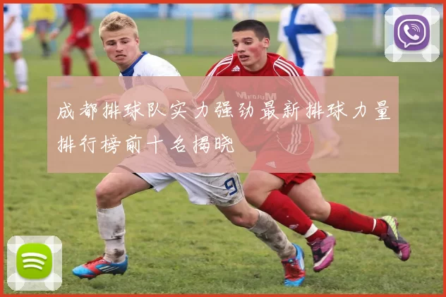 成都排球队实力强劲最新排球力量排行榜前十名揭晓
