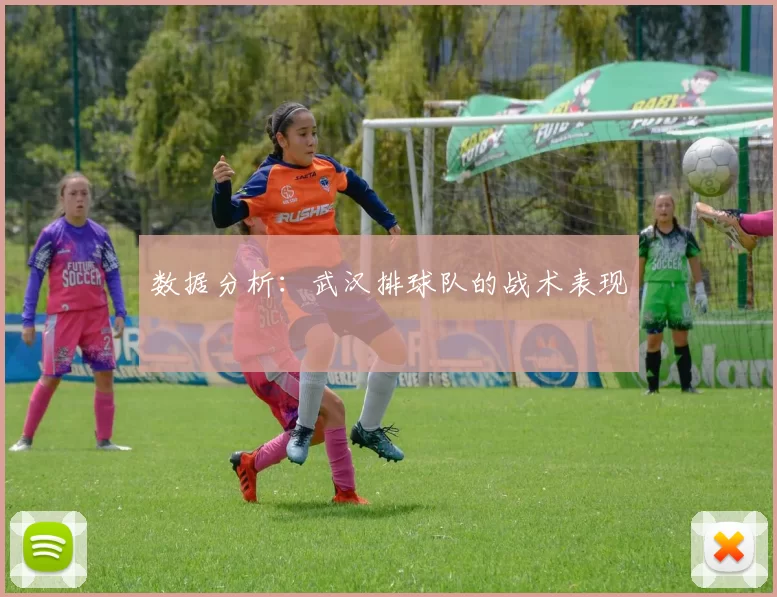数据分析：武汉排球队的战术表现